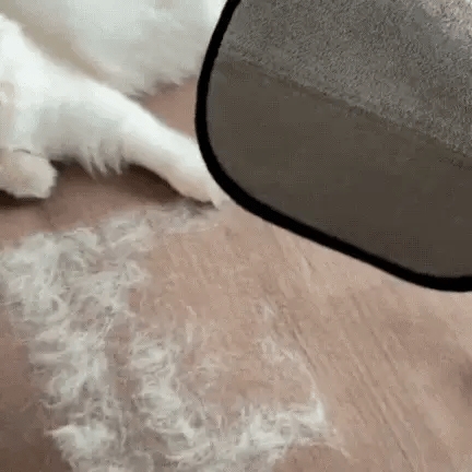 Anti-Slip Pet Hair Removal Glove