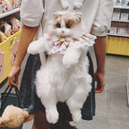 Realistic Ragdoll Cat Backpack