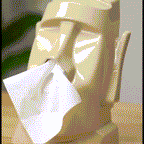 Home stone toilet paper holder.（ Sunglasses and headphones not included）