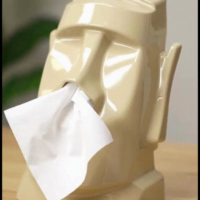 Home stone toilet paper holder.（ Sunglasses and headphones not included）