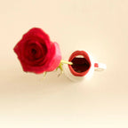 KISS'D - Not Your Average Mug